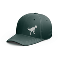 Pet / Cap - Dinosaur