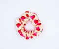 Scrunchie - Lobster