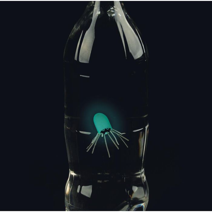 Phänomint - Waterduiker